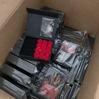 YILUN Coffret Cadeau de Luxe : Collier Rouge à Lèvres, Bijoux, Savon Fleur de Rose – Idéal pour Anniversaire, Saint-Valentin, Fête des Mères