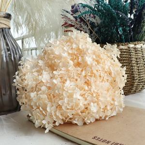 Наиболее популярный консервированный белый ствол гортензии Анны на ощупь для самостоятельного изготовления цветов для всех видов праздничного декора магазина цветов - Product Image 4