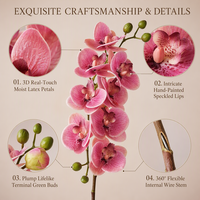 Fleur artificielle en plastique Phalaenopsis Lausanne à 10 têtes, toucher réaliste, branche unique, pour décoration de maison, de mariage et de table, effet hydratant