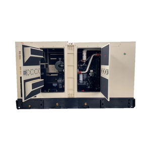 Generatore Skid-Mounted da 100kW 125KVA per il Controllo Climatico di Grandi Serre - Product Image 2