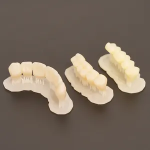 임시로 사용할 수있는 LEYI 치아 3D 수지 인쇄 성형 405nm LCD/DLP