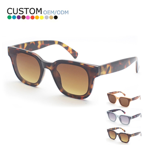 Sunway Eyewear 2024 New Trendy Fashionable Wholesale Sun Glasses Custom Logo Vintage Square Frame High Quality Sunglasses - Product Image 1
