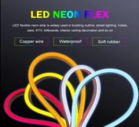 Bande LED Multicolore/Violette 5 Mètres, Flexible en Silicone, Néon, Protection IP65, Découpable, DIY, Garantie 2 Ans, CRI, pour Aménagement Paysager 12V