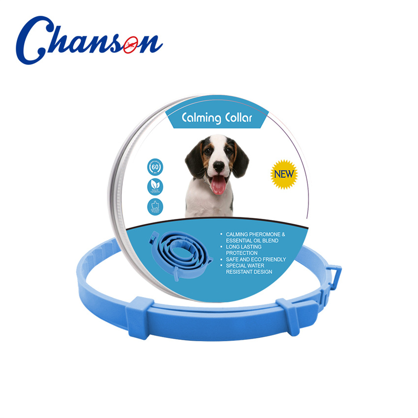 Bleu (chien)