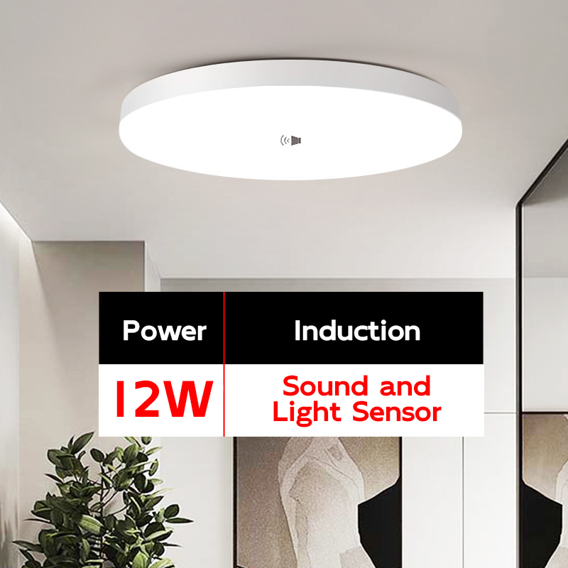 12W [Sound Light Control Induction] White Light