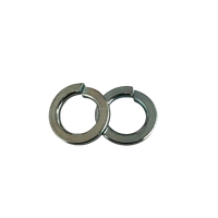 DIN127 Spring Washers Black Finish Made in China High Quality