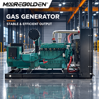 Automatisch Startender 40kW 50kVA Biogas-Generator für Landwirtschaft und Abfallenergie-Projekte