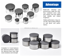 2026 Drillsoltek Couteaux PDC professionnels pour le forage minier, inserts diamantés pour trépans de forage à câble, fournisseur OEM