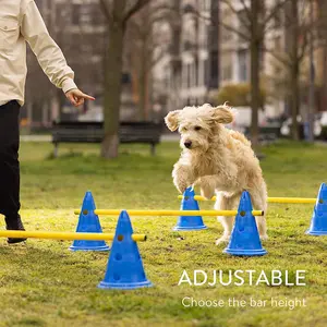 Équipement d'agilité pour chienKit de démarrage de formation de cours d'obstacles, jeux de plein air pour animaux de compagnie pour l'arrière-cour comprenant un anneau de saut de tunnel pour chien
