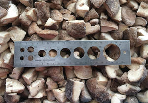 冷冻中国栽培褐蘑菇IQF香菇切高品质 - Product Image 4