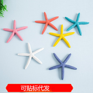 Décoration murale en résine en forme d'étoile de mer, 12 cm, mélange de couleurs, réutilisable, accessoire de toile de fond pour mariage - Product Image 5
