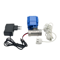 Détecteur de fuite d'eau DN20 3/4" en acier inoxydable 304, capteur d'eau 6M, protection contre les fuites du système de purification de l'eau