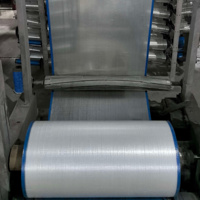 Rouleau de tissu tissé tubulaire en PP avec bordure rouge pour la fabrication de sacs à riz, directement de l'usine