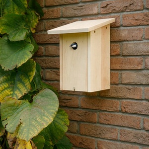 Caja Nido para Aves, Modelo 'Great Tit' - Product Image 4