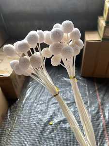 Fleurs séchées naturelles en promotion pour la décoration florale de mariage et de maison : Craspedia Golden Ball et Billy Balls séchées pour une décoration vintage. - Product Image 5