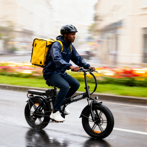 Chamrider DTS425 Vélo Électrique à Pneus Larges, Batterie au Lithium 48V 32AH, 250 <span class=keywords><strong>Watts</strong></span>, Livraison de Nourriture, Longue Portée, Vélo d'Assistance Électrique VAE - Product Image 1