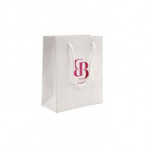 Bolsa de Papel para Compras con Asas, Impresa con Logotipo Personalizado, Reciclada, al por Mayor, Categoría de Productos Promocionales - Product Image 2