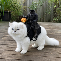 Costume d'Halloween Chevalier sans Tête avec Citrouille Lumineuse, Bretelles Réglables et Réins Intégrés - Vêtement de Loisirs pour Séances Photo Amusantes