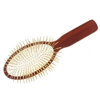 Brosse à cheveux de luxe plaquée or 24 carats avec manche en bois de hêtre 190 aiguilles 18 carats pour cheveux bouclés, séchage au sèche-cheveux, démêlage, massage du cuir chevelu Gua Sha