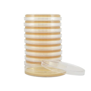 Placa Petri de 90x15mm estéril de plástico de laboratorio con agar de dextrosa de patata Placa de Petri de 9cm - Product Image 3