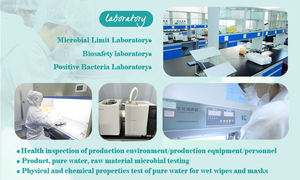 Étiquette privée jetable sensible, 100 pièces, oem, nettoyage des mains et de la bouche, lingettes humides, mouchoirs pour bébé - Product Image 5