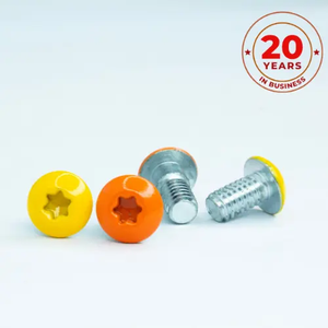 Tùy chỉnh thực hiện cường độ cao thép không gỉ Torx Sơn đầu xe máy Máy Vít - Product Image 3