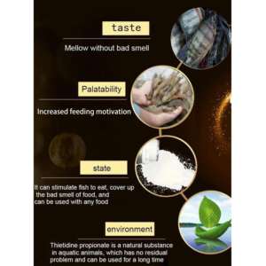 DMPT Feed Atrayente Promotor de crecimiento natural para acuicultura Mejora el apetito, reduce el estrés, mejora la supervivencia de los peces - Product Image 4