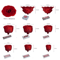 Kepala Bunga Mawar Kering Abadi 4-6cm Bunga Alami untuk Valentine DIY Ramah Lingkungan Tahan Lama 3-5 Tahun Bunga Awet