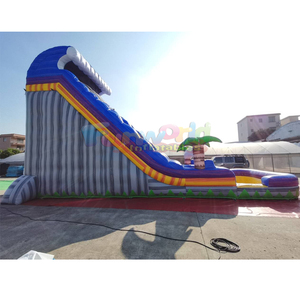Dual lane toboggan aquatique gonflable kids outdoor bounce house inflatable tropical water <b>slide</b> with <b>pool</b> - Product Image 3