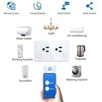 Prise murale intelligente Matter, norme américaine, double alimentation avec Wi-Fi, compatible Alexa, Google Assistant, maison intelligente, Homekit, ABS/verre/plastique