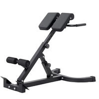 Support de fitness multifonctionnel, banc d'hyperextension réglable, machine d'extension du dos à 45 degrés, chaise romaine-pointes de chèvre