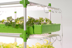 ชุดปลูกผักน้ำขนาดใหญ่ระบบไฮโดรโปนิกส์พร้อมถังเลี้ยงปลา - Product Image 6