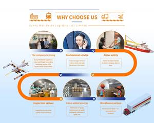 Transporteur Shenzhen <span class=keywords><strong>Guangzhou</strong></span> vers USA Europe Canada Australie Livraison porte à porte Service maritime Agent de livraison DDP - Product Image 3