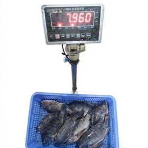 Poisson Rouge Congelé Entier Premium – Haute Qualité, Prix Compétitif, Valeur Nutritionnelle Élevée, 100% Naturel Sous Vide - Product Image 1