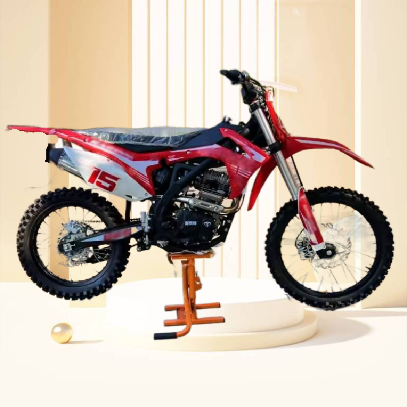 Off Road Motorcycle 250cc 300cc Stroke Motocross Bike