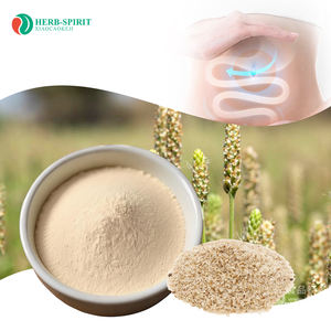 पाचन स्वास्थ्य पेसाइलियम भूक पाउडर वजन घटाने फाइबर पूरक गैर-गमो पेसिलियम भूक पाउडर थोक पेसिलियम भूक कार्बनिक 25 किलो - Product Image 1