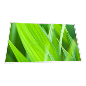จอแสดงผล TFT LCD รุ่นยอดนิยม LM270WR6-SPA1 ขนาด 27.0 นิ้ว ความละเอียด 3840*2160 60Hz - Product Image 1
