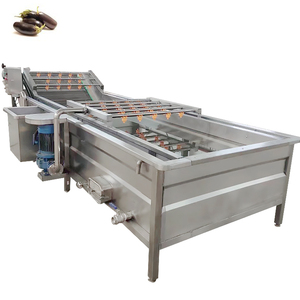 Ing Air Bubble Automatic Dragon Fruit Washing Machine - Product Image 3