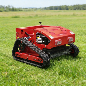 Demand for Best-selling Machinery Mini Rc Lawn Mower Wireless Weed <b>Trimmer</b> Portable Lightweight for Household Garden Courtyard - Product Image 4