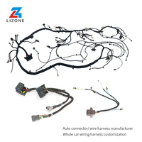 Ensemble de faisceau de câbles ECU/EV série AMP/DT-Connecteurs automobiles étanches IP67, OEM personnalisé (fabricant direct d'usine)