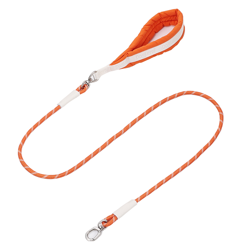 Orange leash