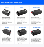 Batteries LiFePO4 personnalisées OEM&ODM 48V 60V 72V pour voiturettes de golf, camping-cars, robots industriels, AGV, VTT, yachts, systèmes d'alimentation DIY