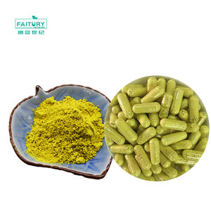 Faitury all'ingrosso CAS 6151-25-3 <span class=keywords><strong>Quercetin</strong></span> HPLC naturale Sophora Japonica estratto 95% quercetina in polvere - Product Image 3