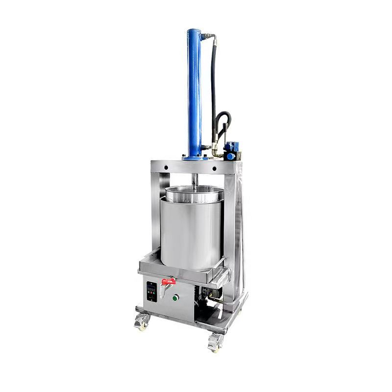 Electric Commercial Juice Extractor Hydraulic Wine Lees Machine Stainless Steel Juicer for Fruit Honey Vegetable Oil Residue