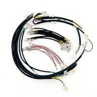 Arnés de cableado para portalámparas de coche personalizado con conector moldeado y cables terminales