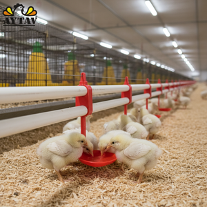 Nuevo Sistema de Bebederos Cuadrados de Plástico para Animales, Bebederos por Goteo para Pollos y Conejos, Uso en Granjas, Certificado, 1 Año de Garantía, Modelo AYTAV - Product Image 3