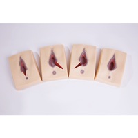 Simulador de Sutura de Episiotomía, Modelos de Vulva para Práctica de Sutura, Simulador de Entrenamiento de Sutura Vulvar, Modelo Anatómico de Vulva para Enseñanza Médica