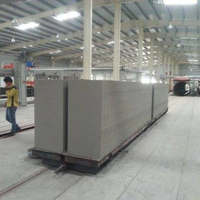 Bloc béton léger de 16 m, ligne de production AAC avec assistance technique ensemble