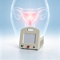 Appareil à diodes double 980 1470 nm pour le traitement de l'endométriose, la gynécologie et le rajeunissement vaginal
