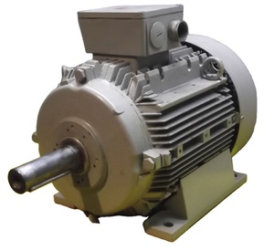 Moteur asynchrone triphasé INNOMOTICS 315KW 4 pôles 1500 tr/min B3 IP55 Boîtier en fonte 50/60Hz IE2 - Product Image 1